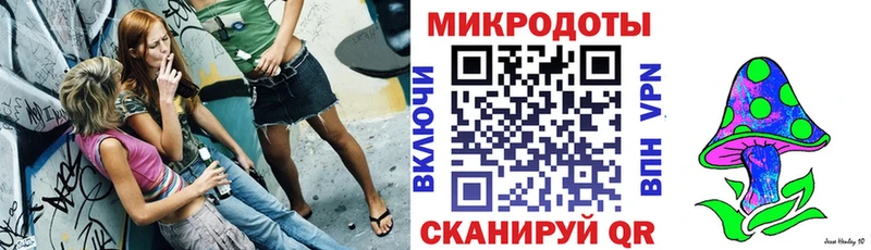 Псилоцибиновые грибы Psilocybine cubensis  Лесосибирск 