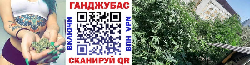 что такое   Лесосибирск  Канабис план 